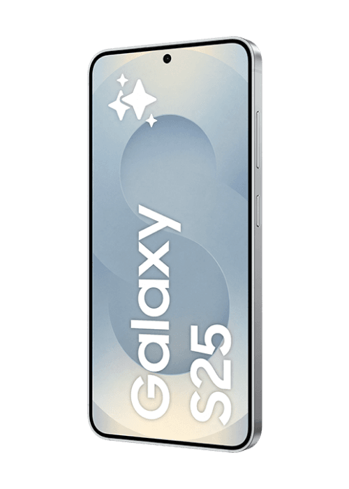 Samsung Galaxy S25 Gris 128 Go - Free Mobile